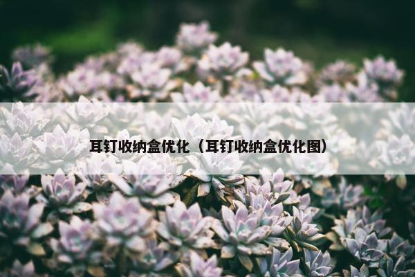 耳钉收纳盒优化（耳钉收纳盒优化图）