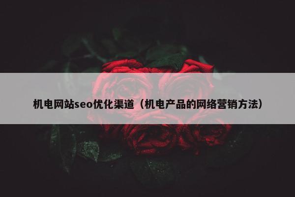 机电网站seo优化渠道（机电产品的网络营销方法）