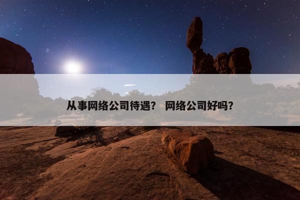 从事网络公司待遇？ 网络公司好吗？