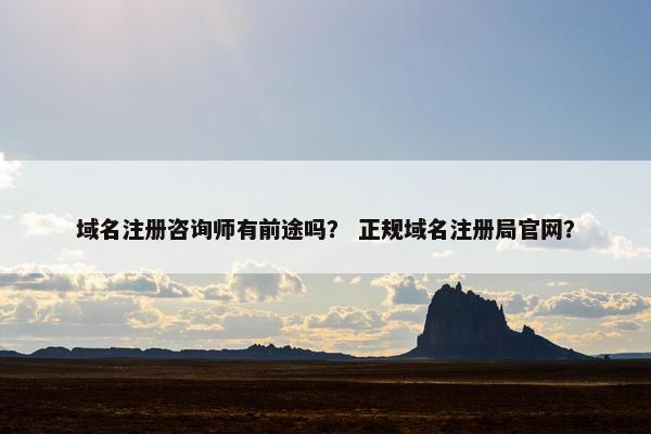 域名注册咨询师有前途吗？ 正规域名注册局官网？