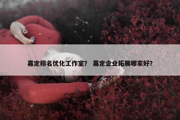 嘉定排名优化工作室？ 嘉定企业拓展哪家好？