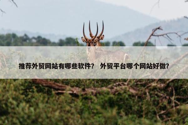 推荐外贸网站有哪些软件？ 外贸平台哪个网站好做？