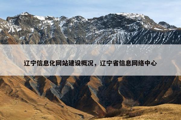 辽宁信息化网站建设概况，辽宁省信息网络中心