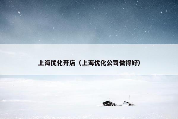 上海优化开店（上海优化公司做得好）