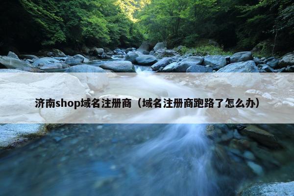 济南shop域名注册商（域名注册商跑路了怎么办）