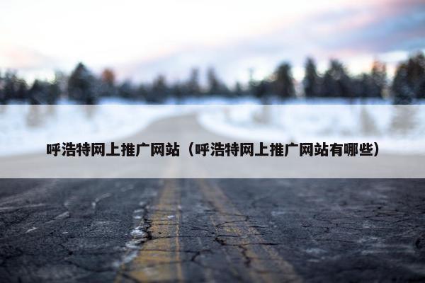 呼浩特网上推广网站（呼浩特网上推广网站有哪些）