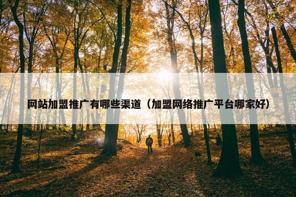 网站加盟推广有哪些渠道（加盟网络推广平台哪家好）