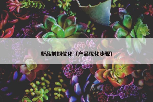新品前期优化（产品优化步骤）