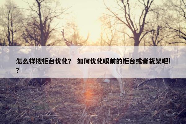 怎么样搜柜台优化？ 如何优化眼前的柜台或者货架吧!？