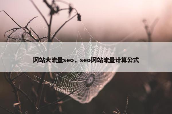 网站大流量seo，seo网站流量计算公式