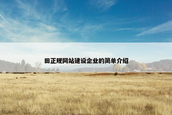田正规网站建设企业的简单介绍