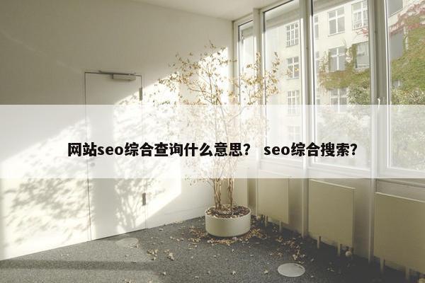 网站seo综合查询什么意思？ seo综合搜索？