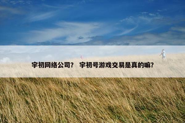 宇初网络公司？ 宇初号游戏交易是真的嘛？