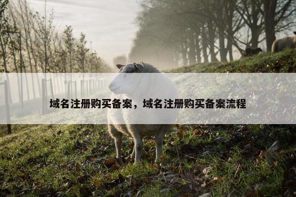 域名注册购买备案，域名注册购买备案流程