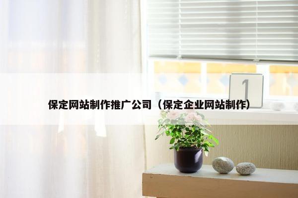 保定网站制作推广公司（保定企业网站制作）