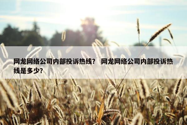 网龙网络公司内部投诉热线？ 网龙网络公司内部投诉热线是多少？