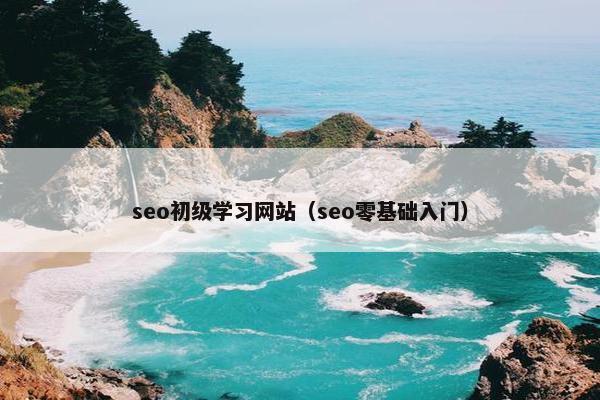 seo初级学习网站（seo零基础入门）
