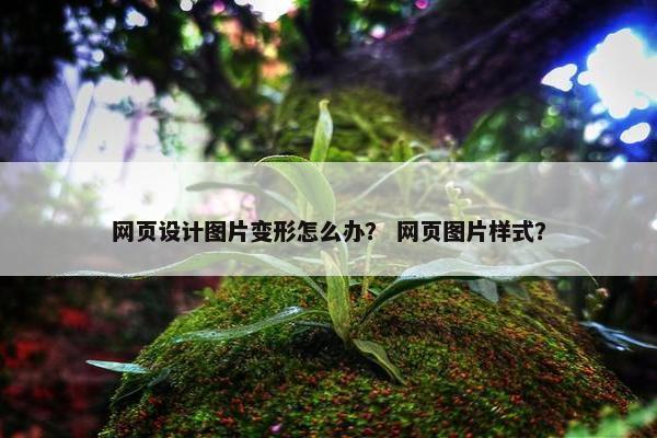 网页设计图片变形怎么办？ 网页图片样式？