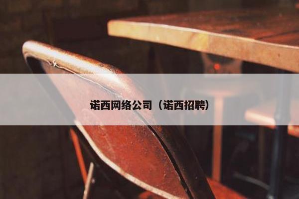 诺西网络公司（诺西招聘）