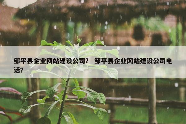 邹平县企业网站建设公司？ 邹平县企业网站建设公司电话？