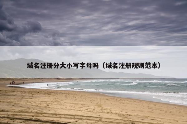 域名注册分大小写字母吗（域名注册规则范本）