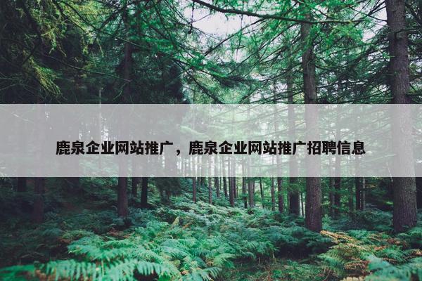 鹿泉企业网站推广，鹿泉企业网站推广招聘信息