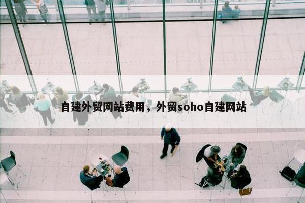 自建外贸网站费用，外贸soho自建网站