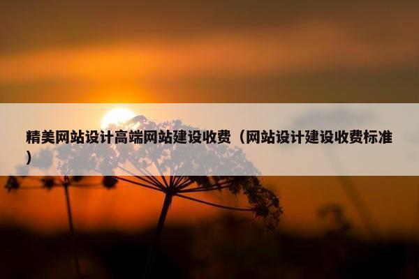 精美网站设计高端网站建设收费（网站设计建设收费标准）