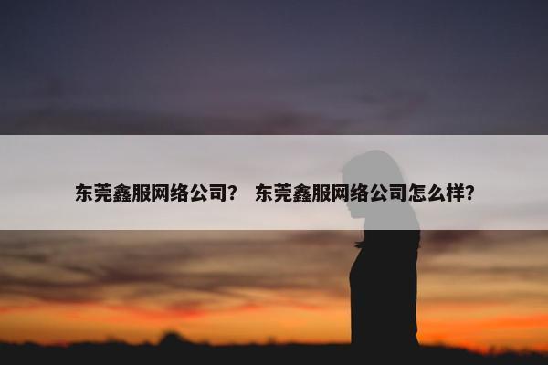 东莞鑫服网络公司？ 东莞鑫服网络公司怎么样？