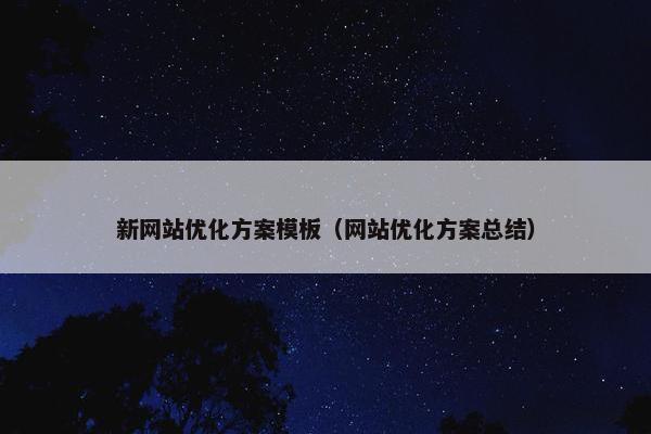 新网站优化方案模板（网站优化方案总结）