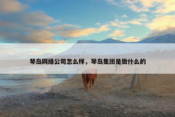 琴岛网络公司怎么样，琴岛集团是做什么的