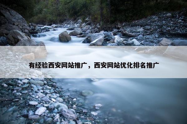 有经验西安网站推广，西安网站优化排名推广