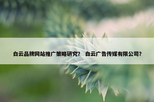 白云品牌网站推广策略研究？ 白云广告传媒有限公司？