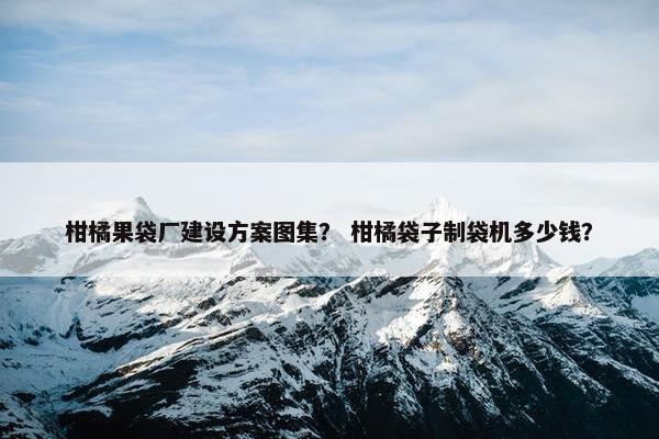 柑橘果袋厂建设方案图集？ 柑橘袋子制袋机多少钱？