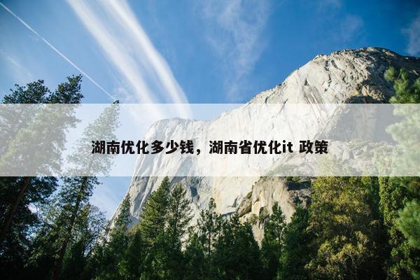 湖南优化多少钱，湖南省优化it 政策