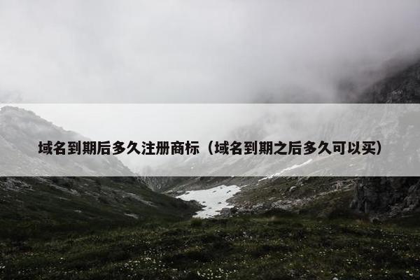 域名到期后多久注册商标（域名到期之后多久可以买）