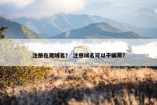 注册在用域名？ 注册域名可以干嘛用？