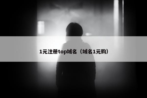 1元注册top域名（域名1元购）