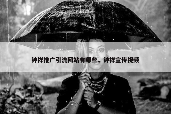 钟祥推广引流网站有哪些，钟祥宣传视频