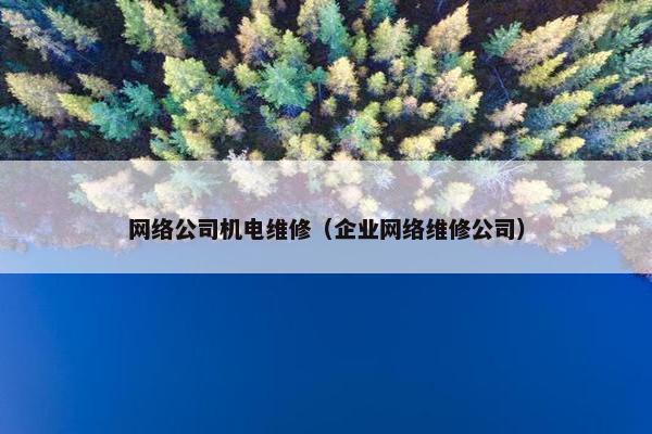 网络公司机电维修（企业网络维修公司）