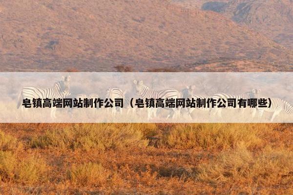 皂镇高端网站制作公司（皂镇高端网站制作公司有哪些）