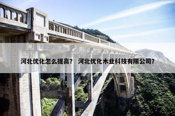 河北优化怎么提高？ 河北优化木业科技有限公司？