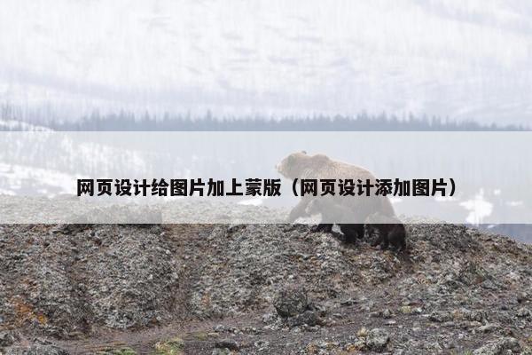 网页设计给图片加上蒙版（网页设计添加图片）