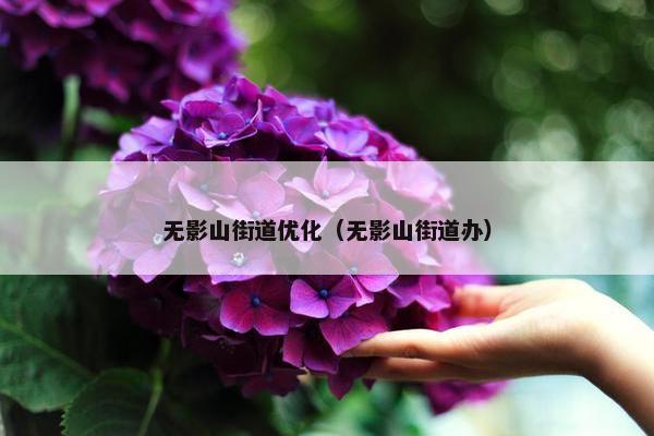 无影山街道优化（无影山街道办）