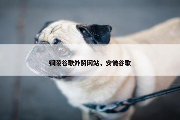 铜陵谷歌外贸网站，安徽谷歌