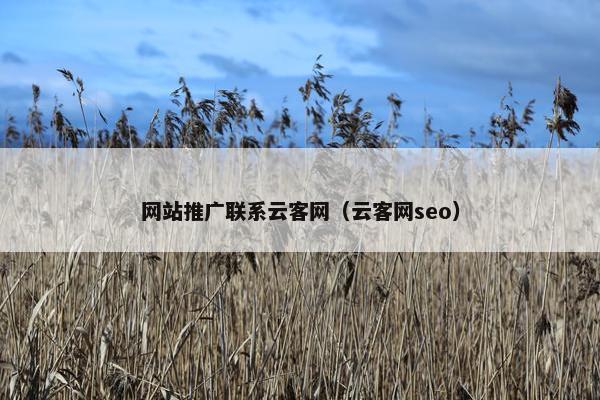 网站推广联系云客网（云客网seo）