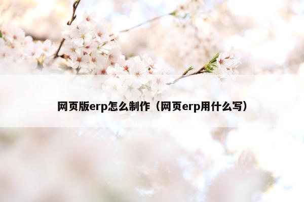 网页版erp怎么制作（网页erp用什么写）