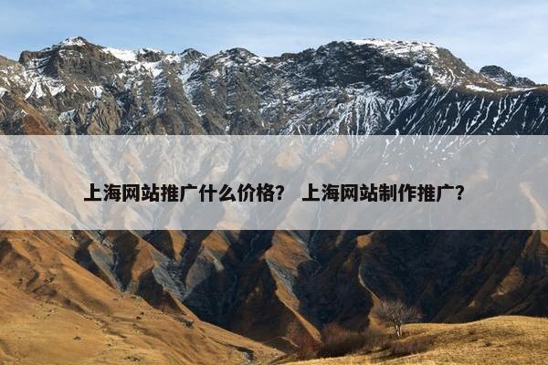 上海网站推广什么价格？ 上海网站制作推广？