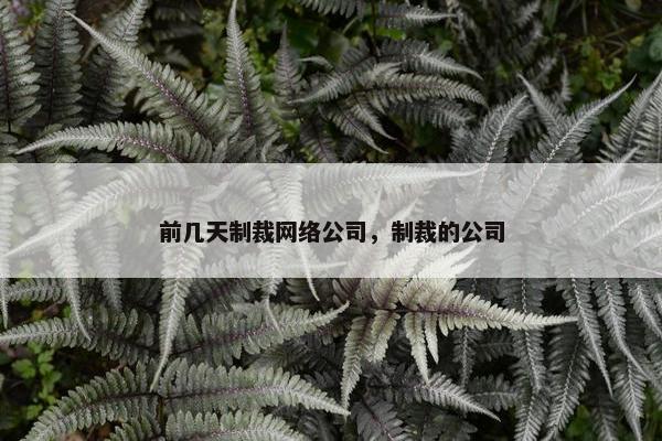 前几天制裁网络公司，制裁的公司