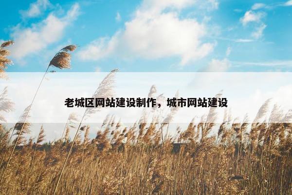 老城区网站建设制作，城市网站建设